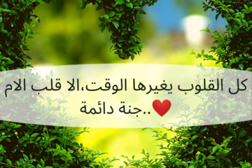 بوستات